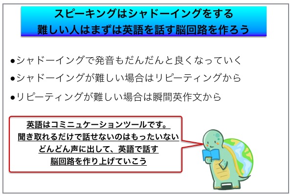 海外赴任 英語聞き取れない ヤバイ これだけ半年間やり込めば大丈夫です カメのこうらブログ