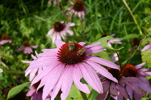 【2020年最新版】初心者でも丸わかり婚活サイトの利用法を徹底解説